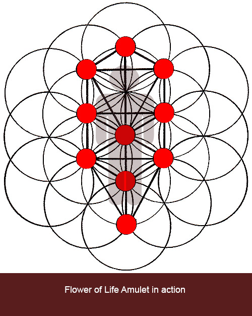 the flower of life